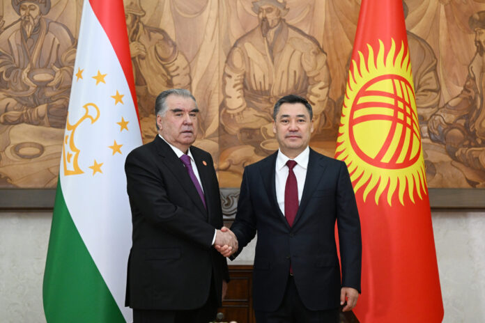 53253724777_ec0f65764f_o-scaled