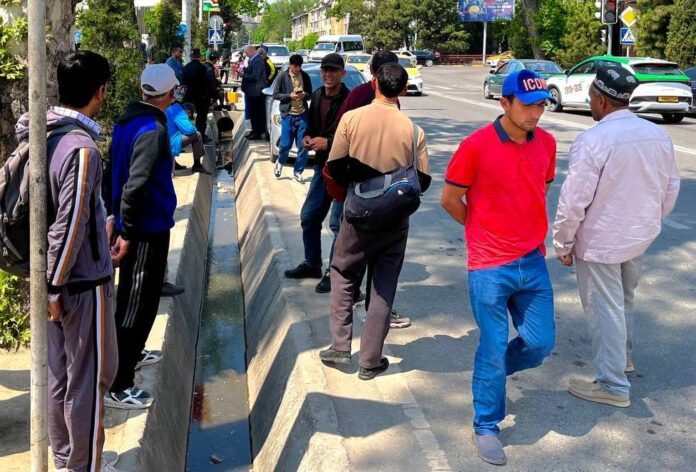 photo_2024-04-24_11-51-56-696x472