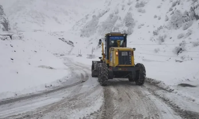 rohi-CHanok-98-11-2022-2