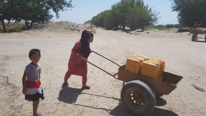 66255752_622326804928785_4358887932761735168_n-1024x576-1