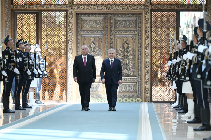 55169609749_46af744622_b-696x464