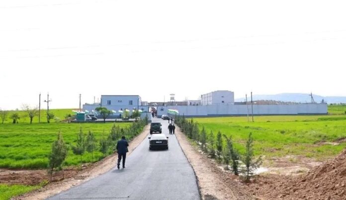 photo_2026-04-13_11-54-37