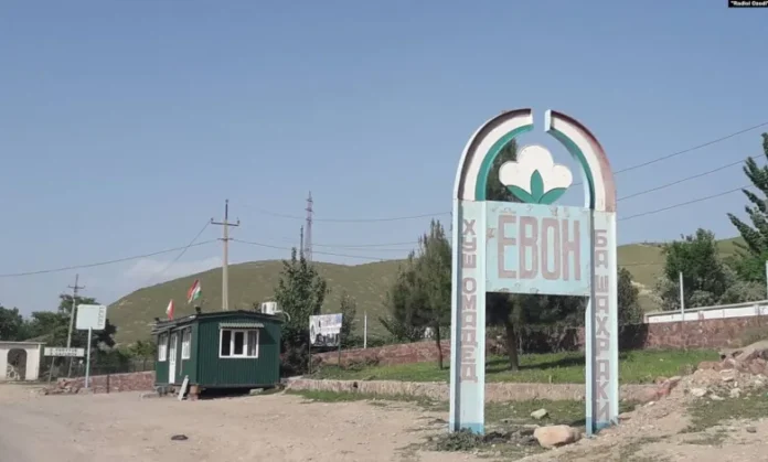 Yovon.jpg-696x419